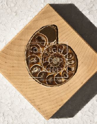 Декоративные вставки Jamie Beckwith Collection Embellished Ammonite Аммониты